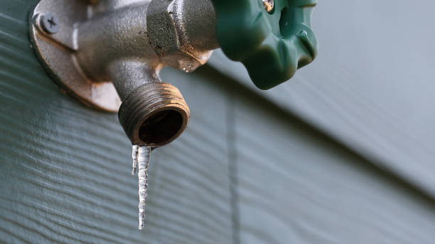Best Emergency Plumbing Repair  in Corcoran, MN